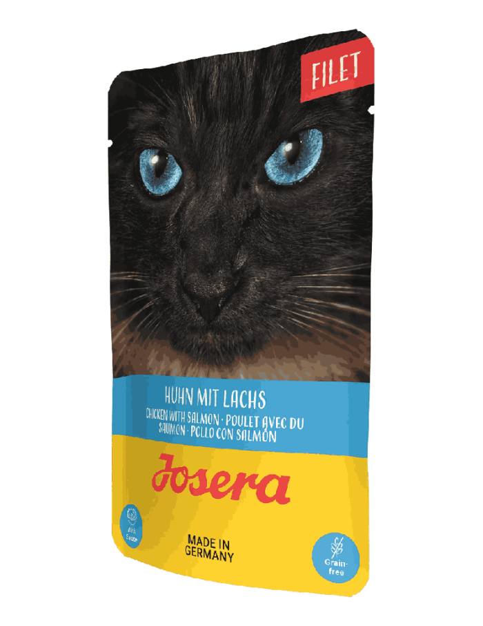 Chicken with Salmon Cat Food – 70g 🐱🍗🐟